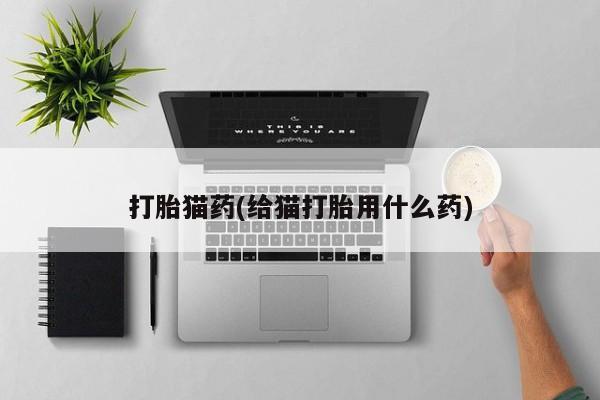米非米索网上私人药店微信打胎猫药(给猫打胎用什么药)