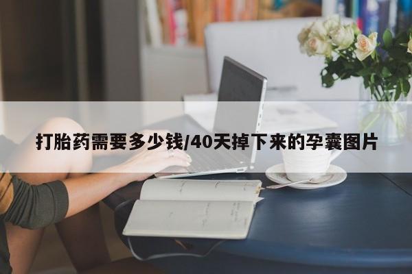 米非米索网上私人药店微信打胎药需要多少钱/40天掉下来的孕囊图片